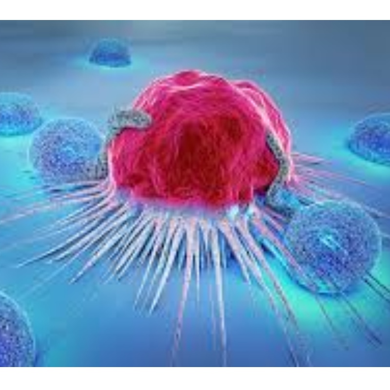 Japán: Az NMN ellenáll az immunsejtek öregedésének és gátolja a tumornövekedésének 71,4% -ánaknövekedését